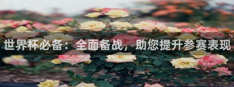 世俱杯直播：世界杯必备：全面备战，助您提升参赛表现