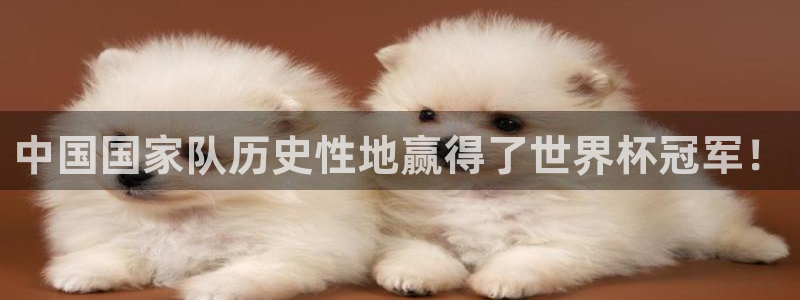 世界杯比赛直播：中国国家队历史性地赢得了世界杯冠军！