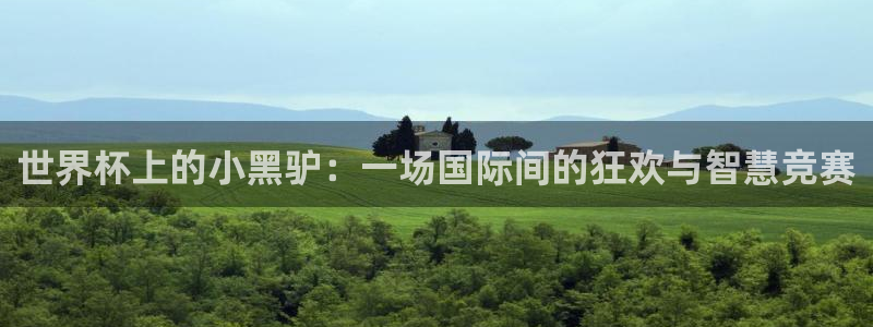 女足世界杯赛程：世界杯上的小黑驴：一场国际间的狂欢与智慧竞赛