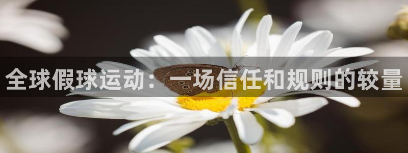 世界杯预选赛欧洲赛区积分榜：全球假球运动：一场信任和规则的较量