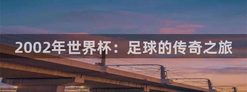 世界杯足球直播：2002年世界杯：足球的传奇之旅