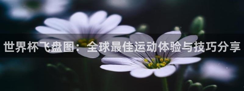 女足世界杯直播：世界杯飞盘图：全球最佳运动体验与技巧分享