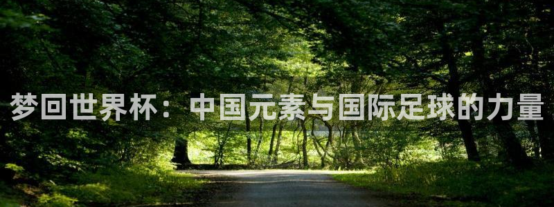 2026足球世界杯赛程时间表：梦回世界杯：中国元素与国际足球的力量