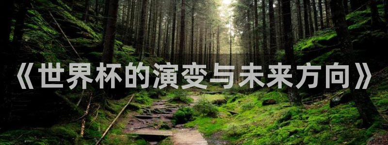 2026年男足世界杯：《世界杯的演变与未来方向》