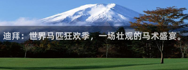 世界杯预选赛亚洲区积分榜：迪拜：世界马匹狂欢季，一场壮观的马术盛宴。
