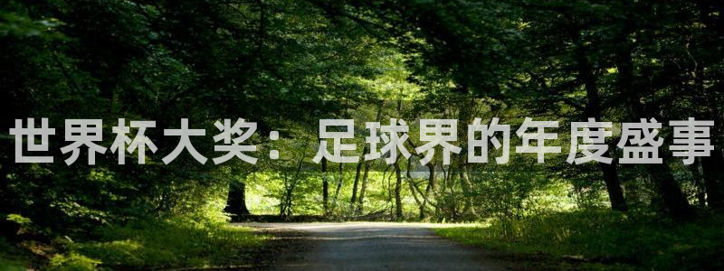 世界杯直播观看：世界杯大奖：足球界的年度盛事